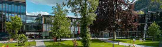 Grüne Außenanlage mit Bäumen und Wegen vor einem modernen Hochschulgebäude an einem sonnigen Tag
